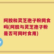 阿胶和灵芝孢子粉同食吗(阿胶与灵芝孢子粉是否可同时食用)