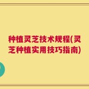 种植灵芝技术规程(灵芝种植实用技巧指南)