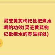 灵芝黄芪枸杞枇杷煮水喝的功效(灵芝黄芪枸杞枇杷水的养生好处)