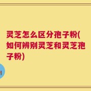 灵芝怎么区分孢子粉(如何辨别灵芝和灵芝孢子粉)