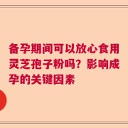 备孕期间可以放心食用灵芝孢子粉吗？影响成孕的关键因素