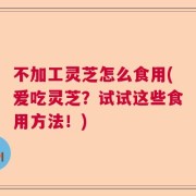 不加工灵芝怎么食用(爱吃灵芝？试试这些食用方法！)