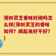 薄树灵芝香味好闻吗怎么样(薄树灵芝的香味如何？闻起来好不好？)