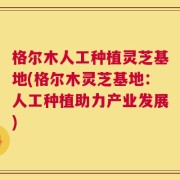 格尔木人工种植灵芝基地(格尔木灵芝基地：人工种植助力产业发展)