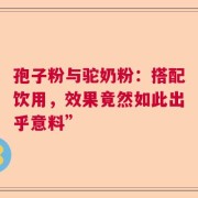 孢子粉与驼奶粉：搭配饮用，效果竟然如此出乎意料”