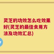 灵芝的功效怎么吃效果好(灵芝的最佳食用方法及功效汇总)
