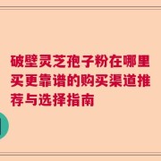 破壁灵芝孢子粉在哪里买更靠谱的购买渠道推荐与选择指南