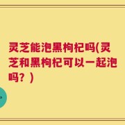 灵芝能泡黑枸杞吗(灵芝和黑枸杞可以一起泡吗？)