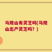 马陵山有灵芝吗(马陵山出产灵芝吗？)
