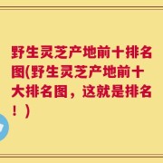 野生灵芝产地前十排名图(野生灵芝产地前十大排名图，这就是排名！)