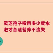 灵芝孢子粉用多少度水泡才合适营养不流失