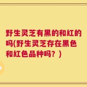 野生灵芝有黑的和红的吗(野生灵芝存在黑色和红色品种吗？)