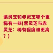 紫灵芝和赤灵芝哪个更稀有一些(紫灵芝与赤灵芝：稀有程度谁更高？)