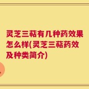 灵芝三萜有几种药效果怎么样(灵芝三萜药效及种类简介)