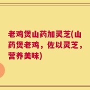 老鸡煲山药加灵芝(山药煲老鸡，佐以灵芝，营养美味)