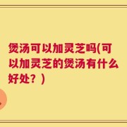 煲汤可以加灵芝吗(可以加灵芝的煲汤有什么好处？)