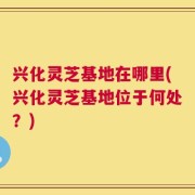 兴化灵芝基地在哪里(兴化灵芝基地位于何处？)