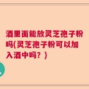 酒里面能放灵芝孢子粉吗(灵芝孢子粉可以加入酒中吗？)