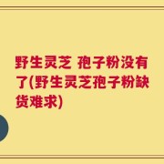 野生灵芝 孢子粉没有了(野生灵芝孢子粉缺货难求)
