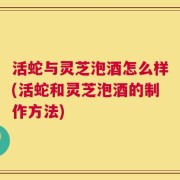活蛇与灵芝泡酒怎么样(活蛇和灵芝泡酒的制作方法)