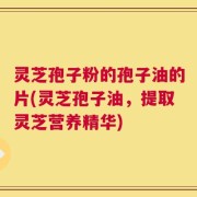灵芝孢子粉的孢子油的片(灵芝孢子油，提取灵芝营养精华)