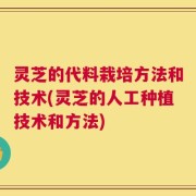 灵芝的代料栽培方法和技术(灵芝的人工种植技术和方法)