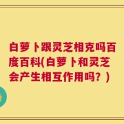 白萝卜跟灵芝相克吗百度百科(白萝卜和灵芝会产生相互作用吗？)