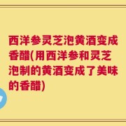 西洋参灵芝泡黄酒变成香醋(用西洋参和灵芝泡制的黄酒变成了美味的香醋)