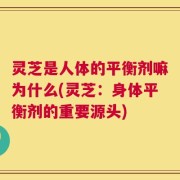 灵芝是人体的平衡剂嘛为什么(灵芝：身体平衡剂的重要源头)