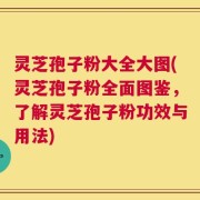 灵芝孢子粉大全大图(灵芝孢子粉全面图鉴，了解灵芝孢子粉功效与用法)