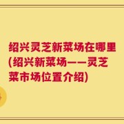 绍兴灵芝新菜场在哪里(绍兴新菜场——灵芝菜市场位置介绍)