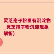 灵芝孢子粉里有沉淀物_灵芝孢子粉沉淀现象解析)