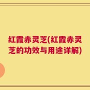 红霞赤灵芝(红霞赤灵芝的功效与用途详解)