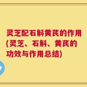 灵芝配石斛黄芪的作用(灵芝、石斛、黄芪的功效与作用总结)