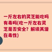 一斤左右的灵芝能吃吗有毒吗(吃一斤左右灵芝是否安全？解读其潜在毒性)