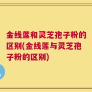金线莲和灵芝孢子粉的区别(金线莲与灵芝孢子粉的区别)