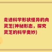 走进科学形状怪异的肉灵芝(神秘形态，探究灵芝的科学奥妙)