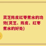 灵芝陈皮红枣煮水的功效(灵芝、陈皮、红枣煮水的好处)