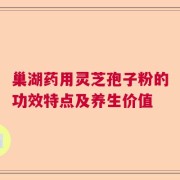 巢湖药用灵芝孢子粉的功效特点及养生价值