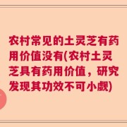 农村常见的土灵芝有药用价值没有(农村土灵芝具有药用价值，研究发现其功效不可小觑)