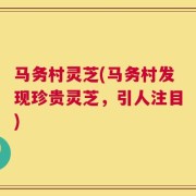 马务村灵芝(马务村发现珍贵灵芝，引人注目)