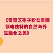 《赏灵芝孢子粉盆景图 领略独特的自然与养生融合之美》