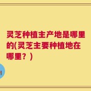 灵芝种植主产地是哪里的(灵芝主要种植地在哪里？)