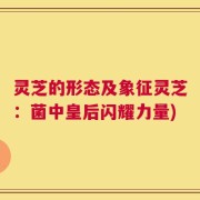 灵芝的形态及象征灵芝：菌中皇后闪耀力量)