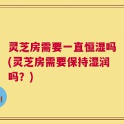 灵芝房需要一直恒湿吗(灵芝房需要保持湿润吗？)