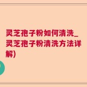 灵芝孢子粉如何清洗_灵芝孢子粉清洗方法详解)