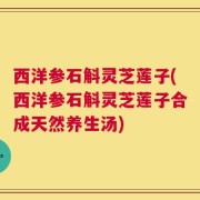 西洋参石斛灵芝莲子(西洋参石斛灵芝莲子合成天然养生汤)