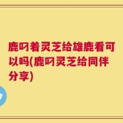 鹿叼着灵芝给雄鹿看可以吗(鹿叼灵芝给同伴分享)
