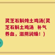 灵芝石斛炖土鸡汤(灵芝石斛土鸡汤  补气养血，滋阴润燥！)