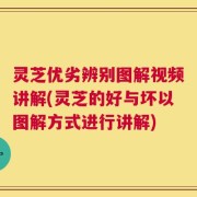 灵芝优劣辨别图解视频讲解(灵芝的好与坏以图解方式进行讲解)
